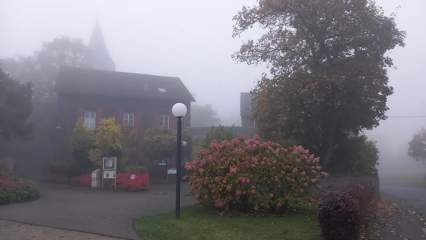 Feldkirchen Gemeindehaus mit Hortensien im Vordergrund im Nebel
